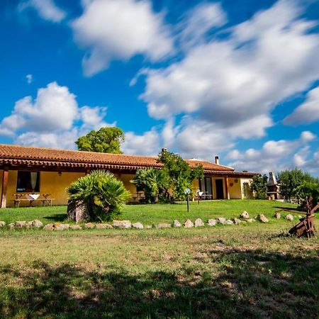Agriturismo Carrucana Martis Екстериор снимка