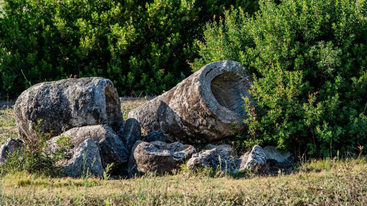 Agriturismo Carrucana Martis Екстериор снимка