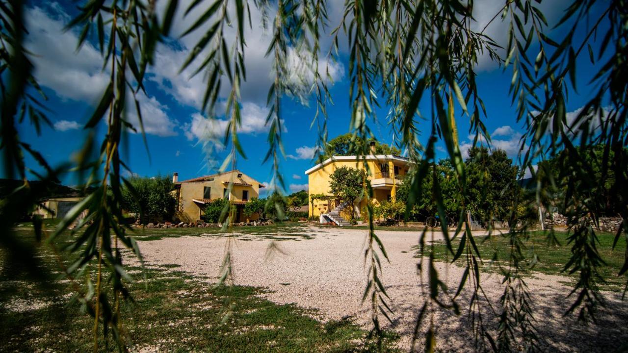 Agriturismo Carrucana Martis Екстериор снимка
