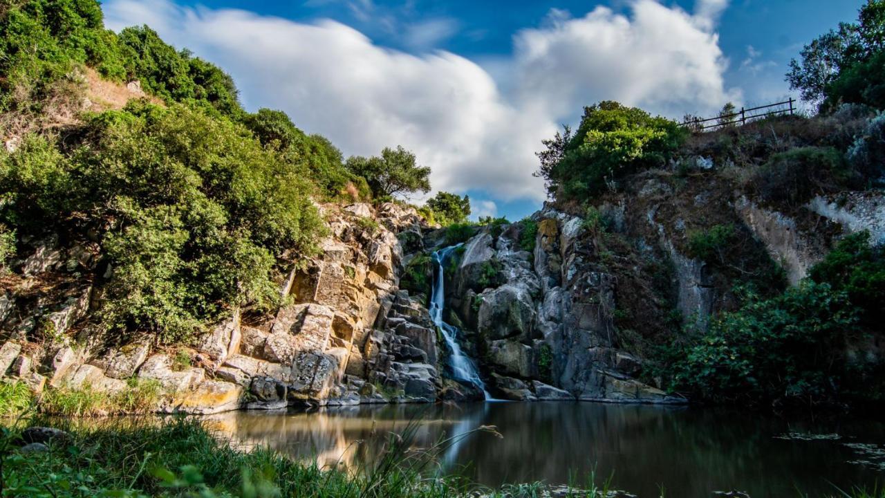 Agriturismo Carrucana Martis Екстериор снимка